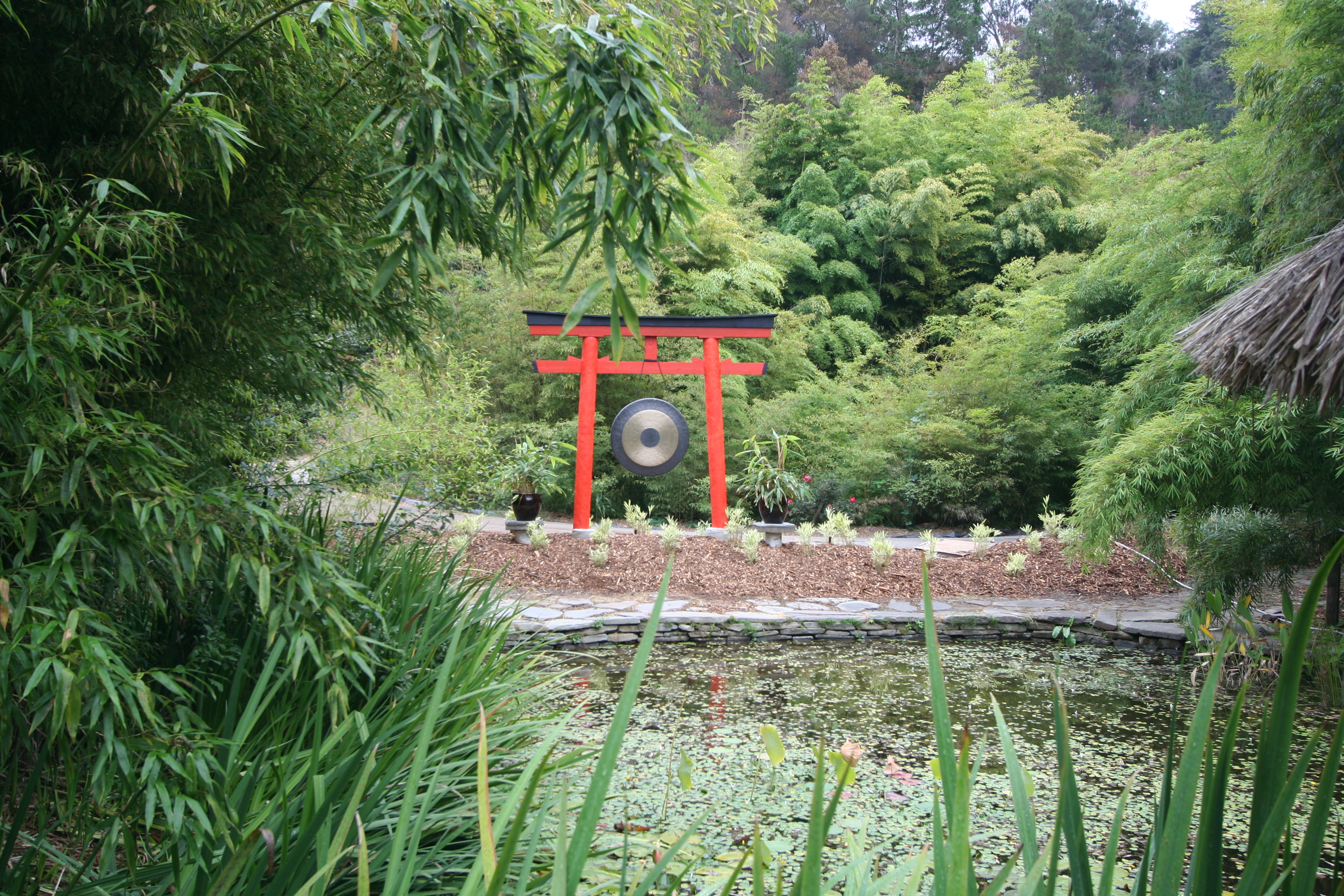 30 acres of trails and bamboo to explore.